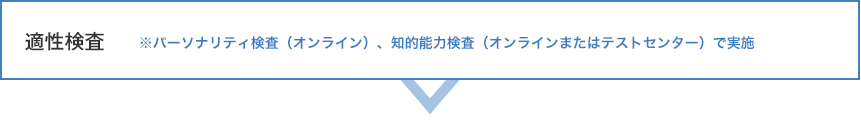 適性検査 ※パーソナリティ検査（Web）、知的能力（Webまたはテストセンター）で実施