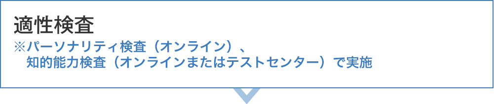 適性検査 ※パーソナリティ検査（Web）、知的能力（Webまたはテストセンター）で実施