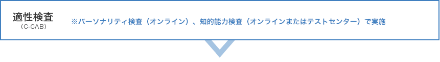 適性検査 ※パーソナリティ検査（Web）、知的能力（Webまたはテストセンター）で実施