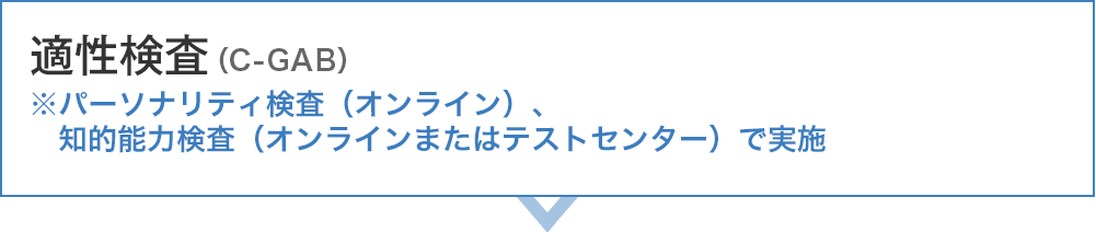 適性検査 ※パーソナリティ検査（Web）、知的能力（Webまたはテストセンター）で実施